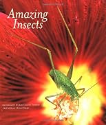 Amazing insects