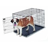 Petmate Home-Training 48-by-30-by-33-Inch Wire Dog Kennel Giant