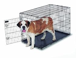 Petmate Home-Training 48-by-30-by-33-Inch Wire Dog Kennel Giant