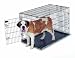 Petmate Home-Training 48-by-30-by-33-Inch Wire Dog Kennel Giant