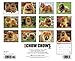 Just Chow Chows 2015 Wall Calendar