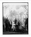 Historic Print (M): American Legion Con. Com. at White House, 1/20/26