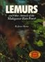Lemurs: And Other Animals of the Madagascar Rain Forest (Endangered Animals (Capstone))