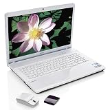 Sony VAIO 17.3 Intel Core i3 Laptop with Bluetooth Mouse, Software and 100 Music Downloads