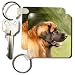 Dogs Leonberger - Leonberger Portrait - Key Chains