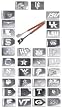 Collegiate Rosewood Handle Grilling Tongs