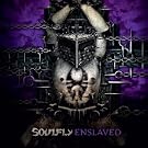 Enslaved [Vinyl LP]