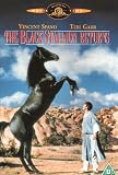 The Black Stallion Returns