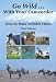 Go Wild With Your Camcorder - How to Make Widlife Films