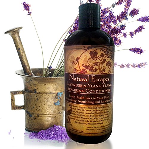 Lavender & Ylang Ylang Repairing Conditioner-Nourishes and Hydrates Your Hair! Leaves Hair Soft, Full & Shiny While Pure Essential Oils stimulate Hair Growth! Free of Sulfates & Parabens! 16oz