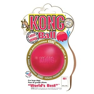 KONG Ball Dog Toy KONG Ball Dog Toy