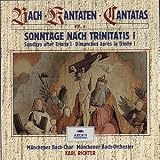 Bach: Cantatas, Vol. 4: Sonntage Nach Trinitatis I ( Box Set ) ( Audio CD ) - B000025H5W