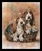 Dan Mcmanis Basset Hound Puppiescuts Framed Art Poster Print - 16