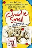 Charlie Small: The Daredevil Desperados of Destiny (Charlie Small)
