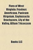 Flora of West Virginia: Fraxinus Americana, Panicum Virgatum, Gaylussacia Brachycera, Lily of the Valley, Allium Tricoccum-