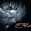 Treasure [VINYL]