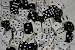 30 dice