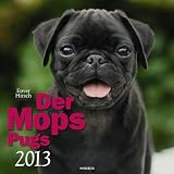 Der Mops