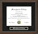 Mercyhurst College Diploma Frame