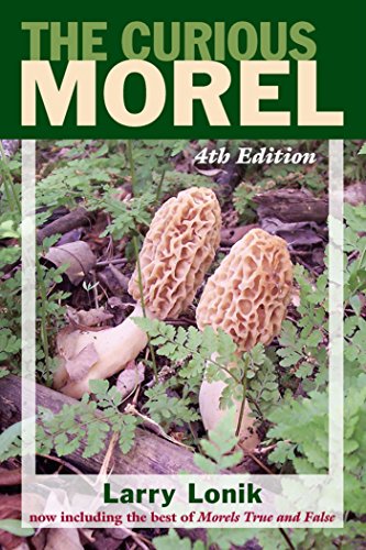 The Curious Morel, by Larry Lonik