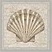 Coastal Beauty I Seashell Spa By Lisa Audit Art Print Poster Picture Framed Decor 12X12