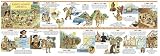 UNFOLDING HISTORY TIMELINES U.S. H