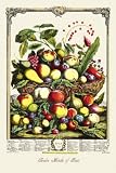 Art Poster, Large Array of Fruits - 20x30