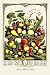 Art Poster, Large Array of Fruits - 12x18