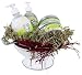 The new line we started carrying is perfect for a great gift basket for a housewarming or hostess gift for example. Cuisine products are enriched with shea butter and the cuisine series has a grapefruit scent, fresh and soft. Pretty enough to decorate the kitchen with, and a wonderful assortment. Each product is also sold individually in our store.