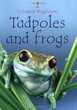 Tadpoles and Frogs (Usborne Beginners)