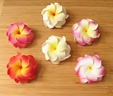 NEW! Foam Double Plumeria Hairclip