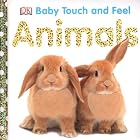 Touch & Feel
