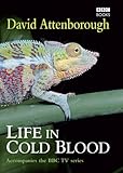 Life in cold blood