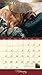 Dogs We Love 2017 Deluxe Wall Calendar