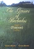 Grasses of Barbados - Poaceae (Sida, botanical miscellany)