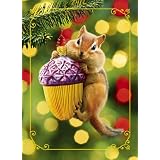 Avanti Plus Christmas Cards, Acorn and Chipmunk, 10 Count