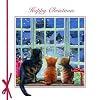 Weihnachtskarte - Snow is Falling - Katzenfenster
