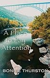 A place to pay attention