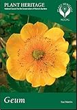 Geum