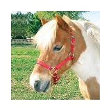 Hamilton Deluxe 3/4 Nylon Miniature Horse Halter - Available in Assorted Sizes and Colors