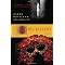 Great historical fiction I