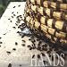 Of Bees & Bee Skeps