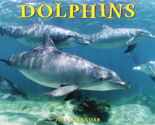 Dolphins 2012 Calendar