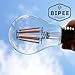 A19 LED Edison Style Bulb - 6W LED Vintage Filament Light Bulb 60W Equivalent - Soft White (2700K) - E26 Base - Non Dimmable - 1 Pack - by BIPEE