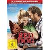 Red Dog