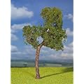 Faller 181310 - 1 Premium-Waldkiefern