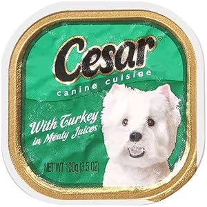 Cesar Canine Cuisine, Turkey, 3.5 oz (Pack of 24)