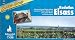 Third Party New : Bikeline Radtourenbuch, Radatlas Elsass. Grenzenloses Raderlebnis zwischen Pf&auml;lzer Wald und Jura, dem Rhein und Lothringen. 1:75000: Grenzenloses ... 75.000. Ein original bikeline-Radtourenbuch