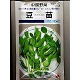 中国野菜　タキイ　豆苗　タキイの中国野菜種です