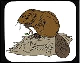 Mouse Pad with animal, beaver, tail